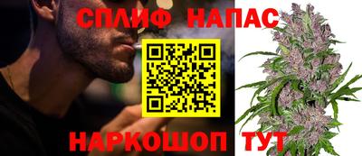 spice Кинель
