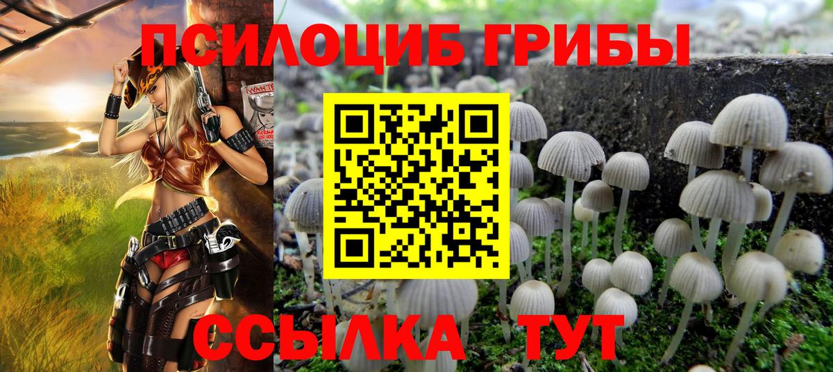 Галлюциногенные грибы мицелий Красноармейск